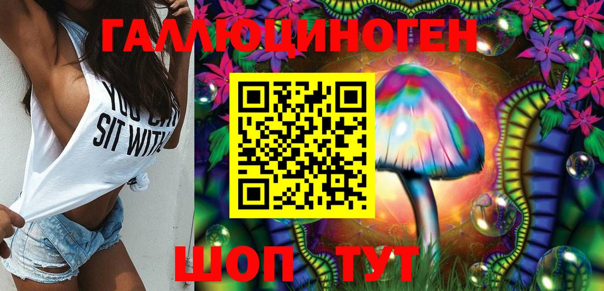 Псилоцибиновые грибы Psilocybe  Вход с VPN  Назрань 