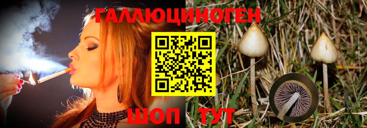 Галлюциногенные грибы прущие грибы Назрань
